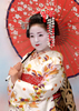 �e���r���Q�@�A�i�E���T�[�@�剺���ނ���