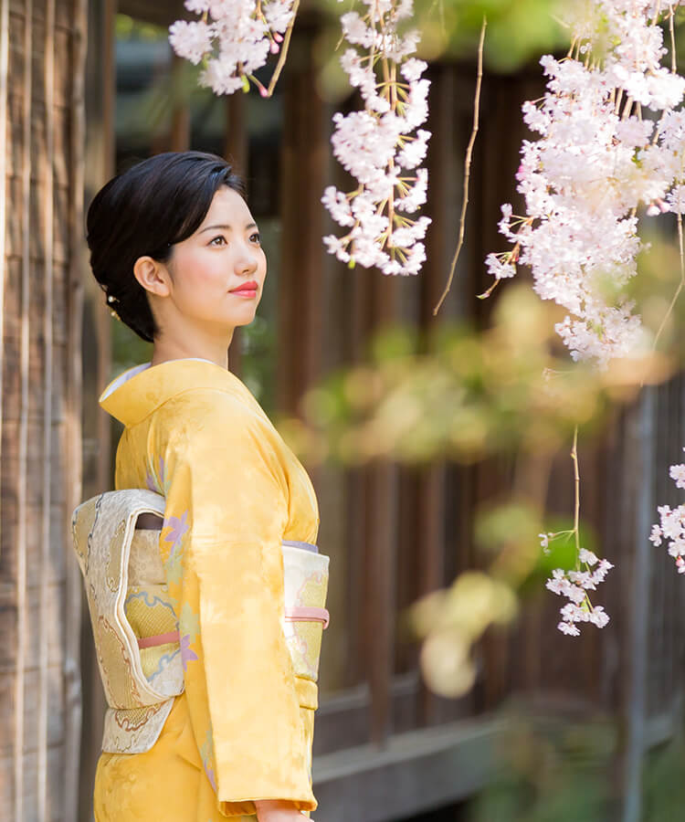 訪問着レンタル | 結婚式や卒業式・入学式での訪問着なら京都着物