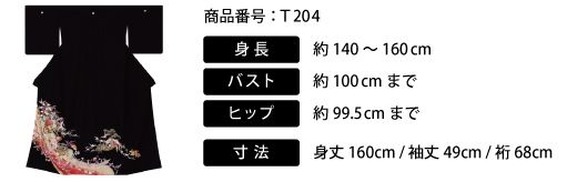 着用着物