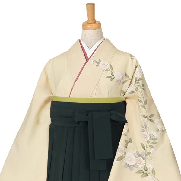 h364 クリーム 雪輪に枝垂椿☆